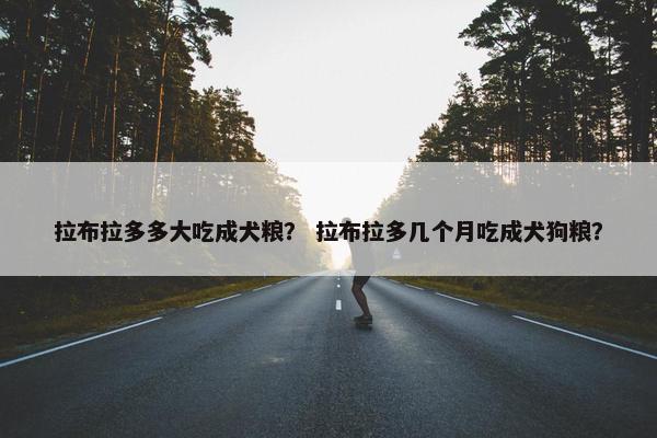 拉布拉多多大吃成犬粮？ 拉布拉多几个月吃成犬狗粮？