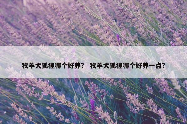 牧羊犬狐狸哪个好养？ 牧羊犬狐狸哪个好养一点？