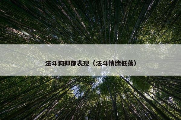 法斗狗抑郁表现（法斗情绪低落）