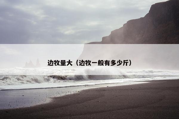 边牧量大（边牧一般有多少斤）