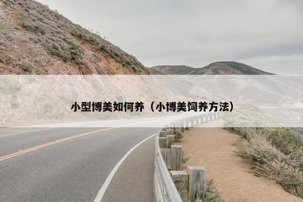 小型博美如何养（小博美饲养方法）
