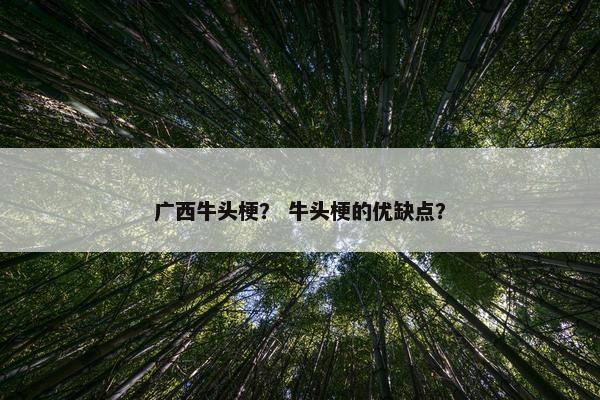 广西牛头梗？ 牛头梗的优缺点？