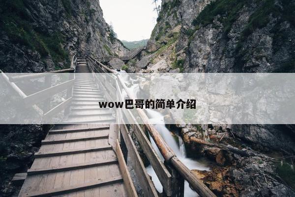 wow巴哥的简单介绍