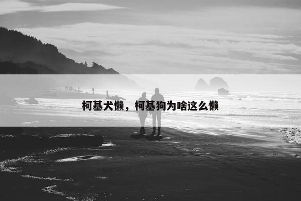 柯基犬懒，柯基狗为啥这么懒
