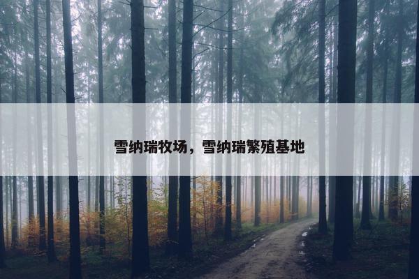 雪纳瑞牧场，雪纳瑞繁殖基地