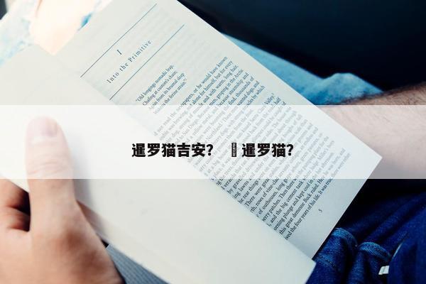 暹罗猫吉安？  暹罗猫？
