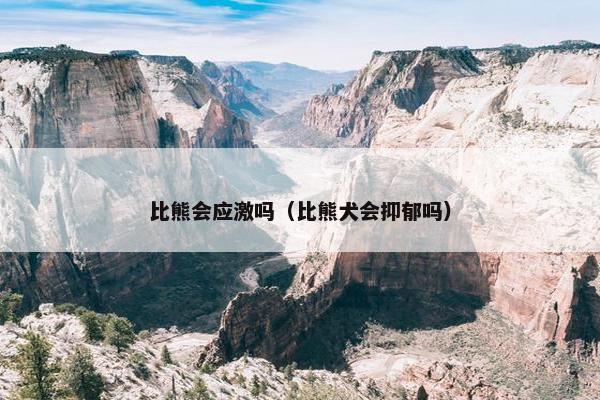 比熊会应激吗（比熊犬会抑郁吗）