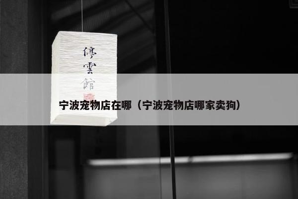 宁波宠物店在哪（宁波宠物店哪家卖狗）
