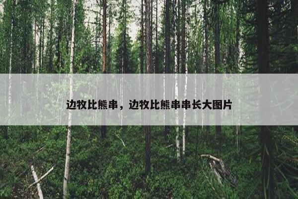边牧比熊串，边牧比熊串串长大图片