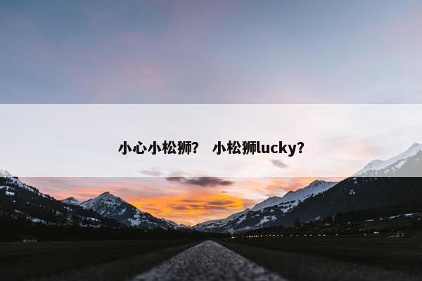 小心小松狮？ 小松狮lucky？