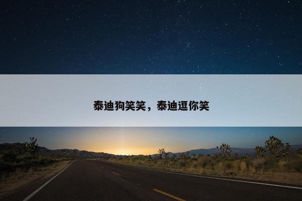 泰迪狗笑笑，泰迪逗你笑
