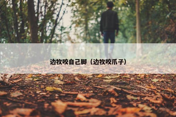 边牧咬自己脚（边牧咬爪子）