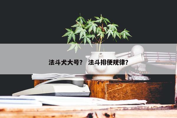 法斗犬大号？ 法斗排便规律？