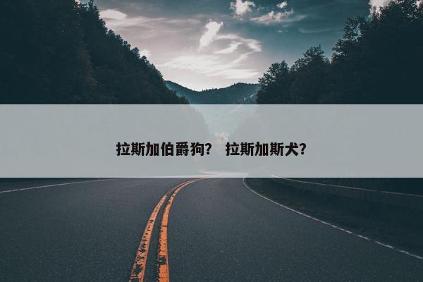 拉斯加伯爵狗？ 拉斯加斯犬？