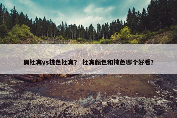 黑杜宾vs棕色杜宾？ 杜宾颜色和棕色哪个好看？