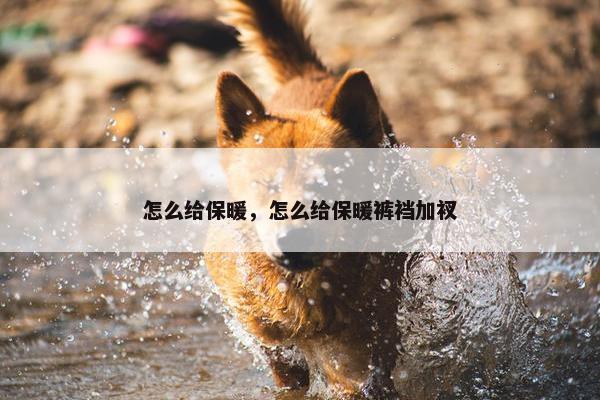 怎么给保暖，怎么给保暖裤裆加衩
