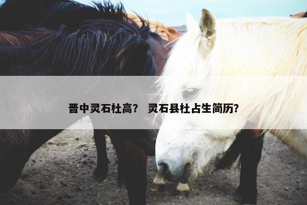 晋中灵石杜高？ 灵石县杜占生简历？