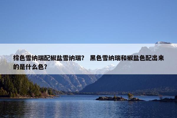 棕色雪纳瑞配椒盐雪纳瑞？ 黑色雪纳瑞和椒盐色配出来的是什么色？