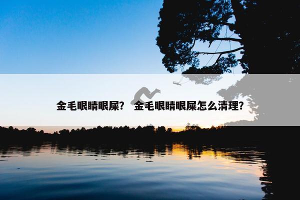 金毛眼睛眼屎？ 金毛眼睛眼屎怎么清理？