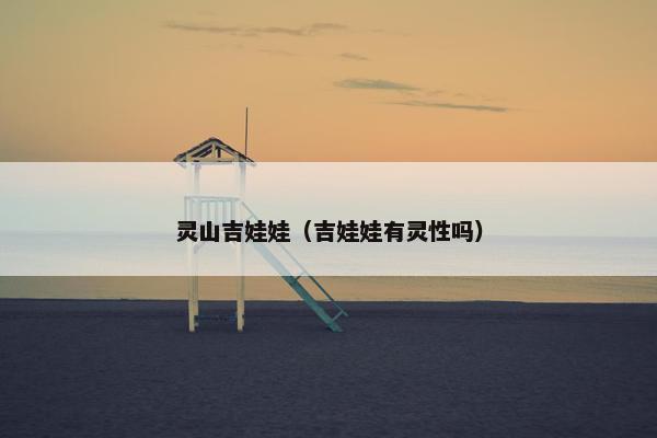 灵山吉娃娃（吉娃娃有灵性吗）