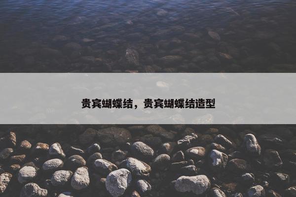 贵宾蝴蝶结，贵宾蝴蝶结造型