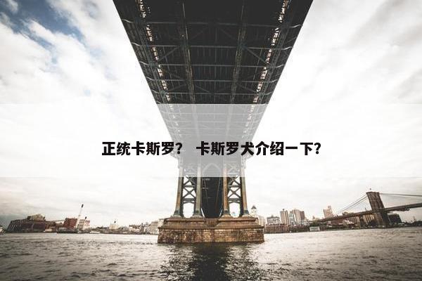 正统卡斯罗？ 卡斯罗犬介绍一下？