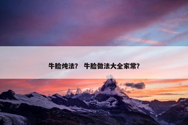牛脸炖法？ 牛脸做法大全家常？