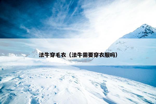 法牛穿毛衣（法牛需要穿衣服吗）