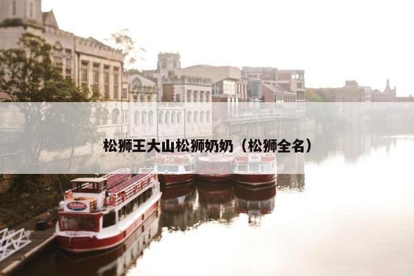松狮王大山松狮奶奶（松狮全名）