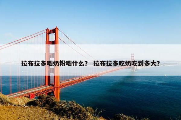 拉布拉多喂奶粉喂什么？ 拉布拉多吃奶吃到多大？
