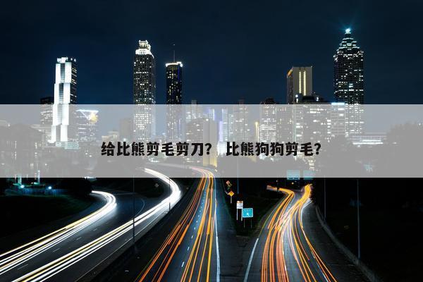 给比熊剪毛剪刀？ 比熊狗狗剪毛？
