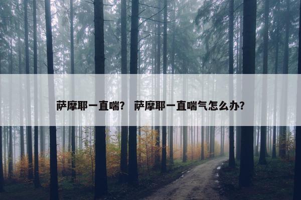 萨摩耶一直喘？ 萨摩耶一直喘气怎么办？