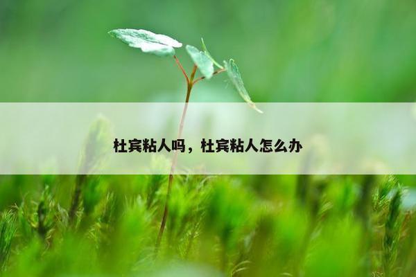 杜宾粘人吗，杜宾粘人怎么办