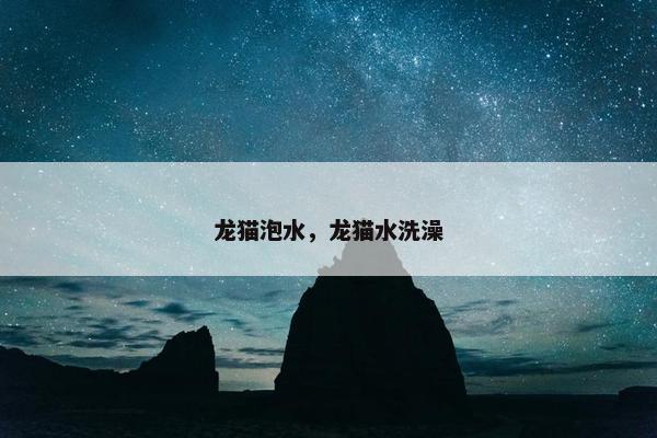 龙猫泡水，龙猫水洗澡