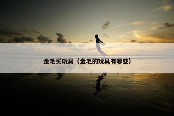金毛买玩具（金毛的玩具有哪些）