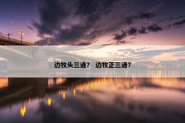 边牧头三通？ 边牧正三通？