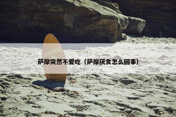 萨摩突然不爱吃（萨摩厌食怎么回事）
