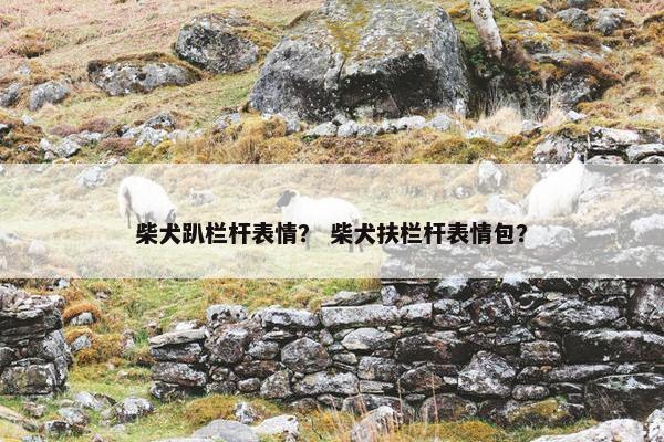 柴犬趴栏杆表情？ 柴犬扶栏杆表情包？