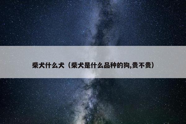 柴犬什么犬（柴犬是什么品种的狗,贵不贵）