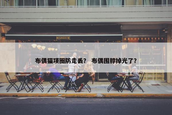 布偶猫项圈防走丢？ 布偶围脖掉光了？