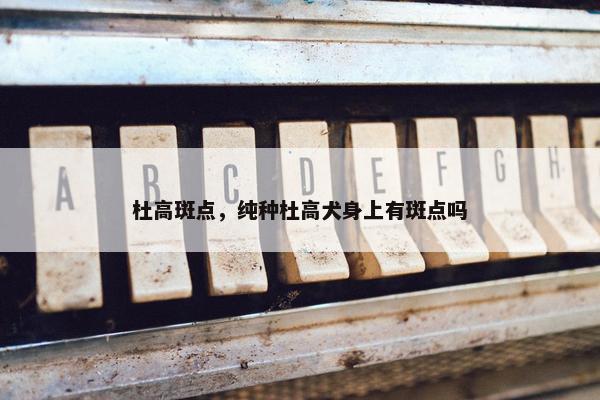杜高斑点，纯种杜高犬身上有斑点吗