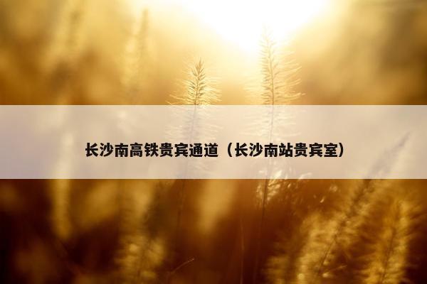 长沙南高铁贵宾通道（长沙南站贵宾室）