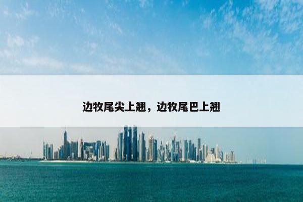 边牧尾尖上翘，边牧尾巴上翘