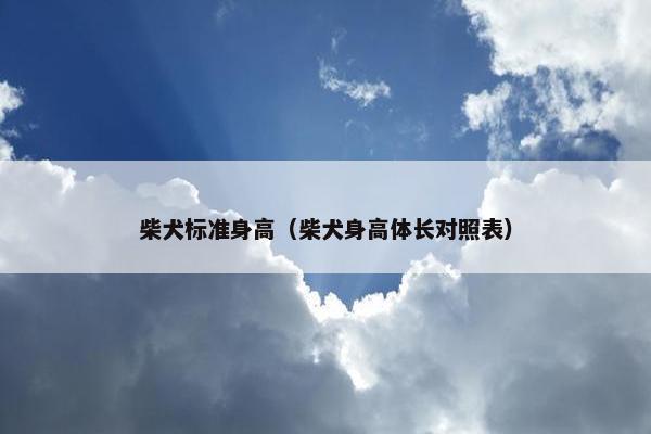 柴犬标准身高（柴犬身高体长对照表）