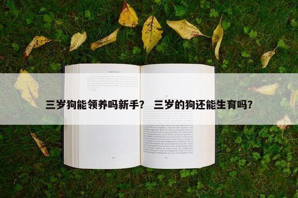 三岁狗能领养吗新手？ 三岁的狗还能生育吗？