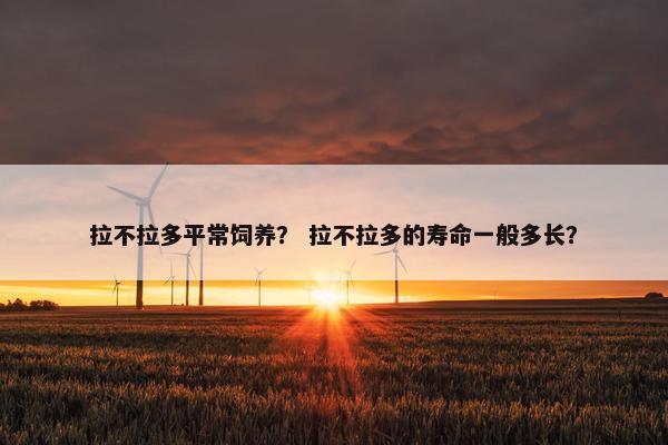 拉不拉多平常饲养？ 拉不拉多的寿命一般多长？