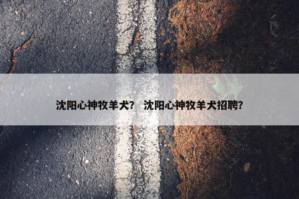 沈阳心神牧羊犬？ 沈阳心神牧羊犬招聘？