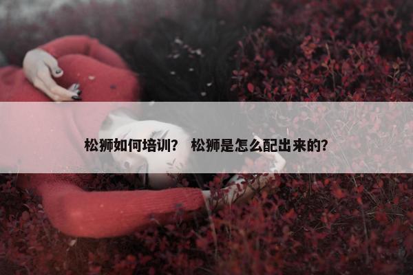 松狮如何培训？ 松狮是怎么配出来的？
