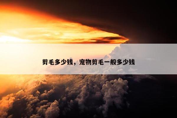 剪毛多少钱，宠物剪毛一般多少钱