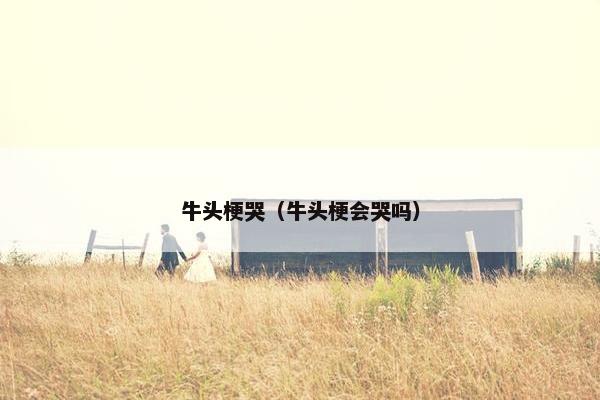 牛头梗哭（牛头梗会哭吗）